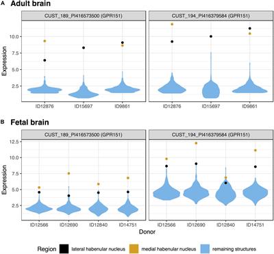 Transcriptomic Characterization of the Human Habenula Highlights Drug Metabolism and the Neuroimmune System